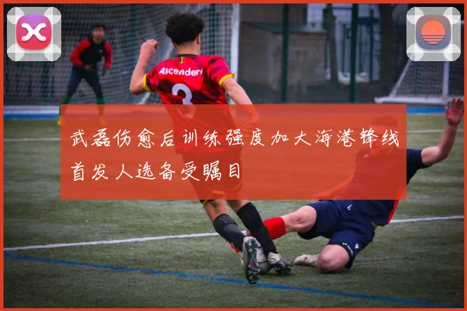 武磊伤愈后训练强度加大海港锋线首发人选备受瞩目